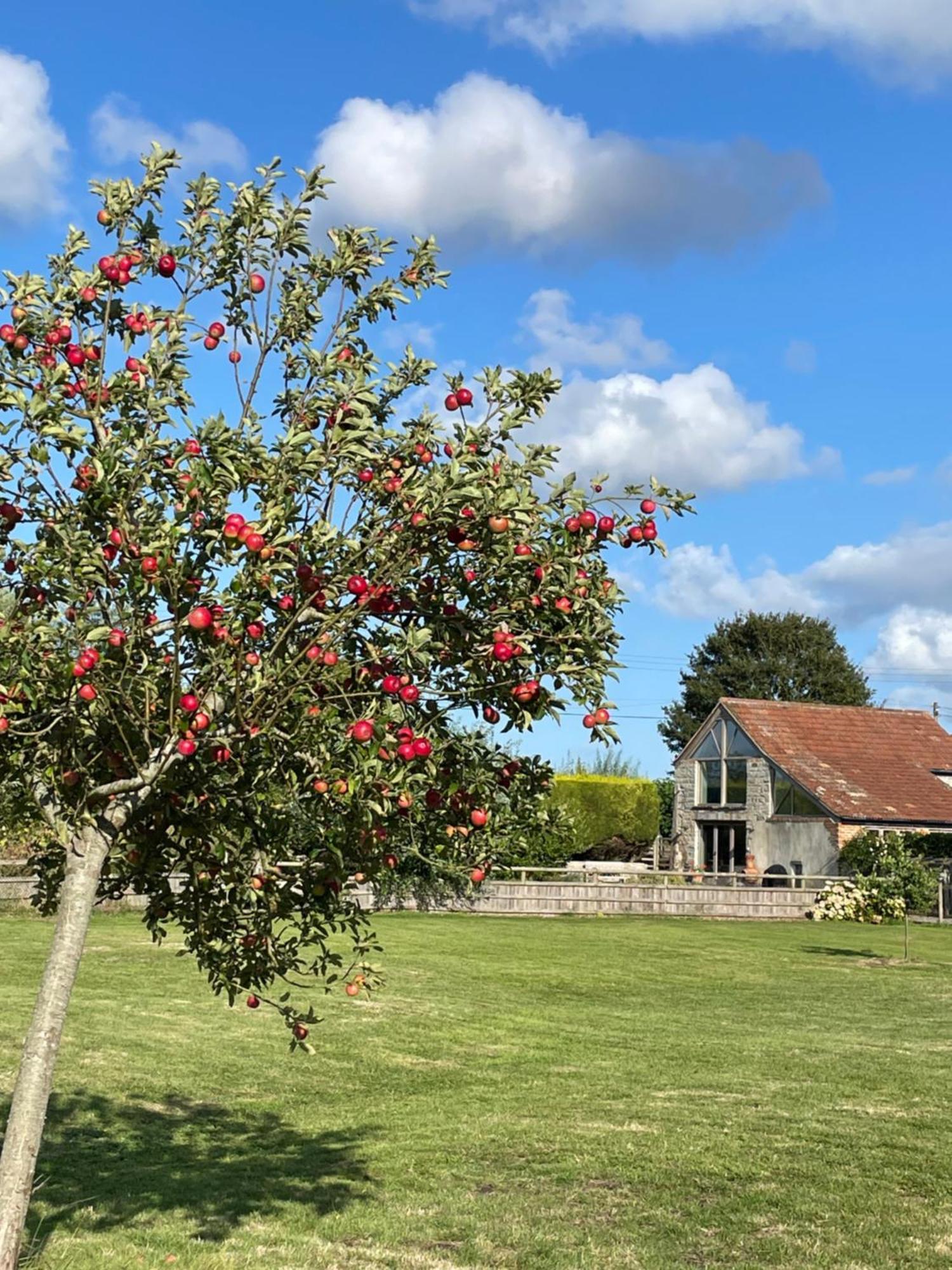 The Hayloft At Stathe Farm Bridgwater